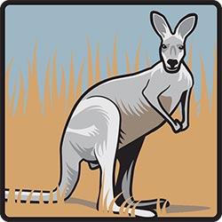 NZP wayfinding symbol: Kangaroos for Smithsonian Institution